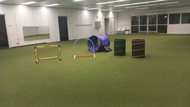 Tädää, hoopsit ois täällä! On 3 vanne estettä, 2 tynnyrii, putki ja mini veräjä et hooppersin ystävät eikun varailee treeniaikoja!