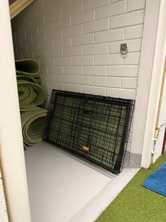 Yritän parhaani mukaan toteuttaa teidän toiveita ja nyt treenitilassa on kaksi häkkiä talon puolesta ja niitä saa vapaasti käyttää! Lenkkejäkin suunnitellaan enemmän mihin koiran voi kiinnittää! Kahteen jumppatyynyyn sain jo ilmaa, ehkä ostan uuden pumpun kun se on aika huono ja hoopers este korjattu! Pidättehän koirianne silmällä etteivät pissisi sisälle, itselläni helposti merkkaavat uros mut pidän sen työntäyteisenä hallilla niin ei haistele tai yritä merkata! Käyttäkää uros ja narttusuojia jos ette pysty vahtimaan! Ugh, olen puhunut!