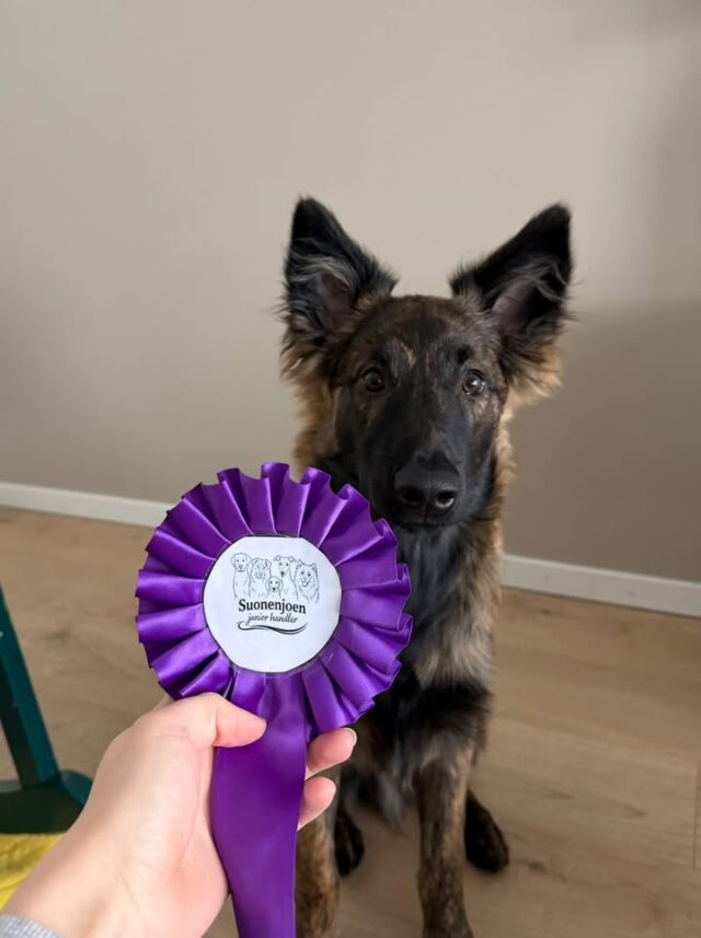 Huomenna ja torstaina on vapaata klo. 15-16.30 et käykäähän varailee ja perjantaina ennen klo.11 ja 12-13.30, sunnuntaina kans ennen klo.11