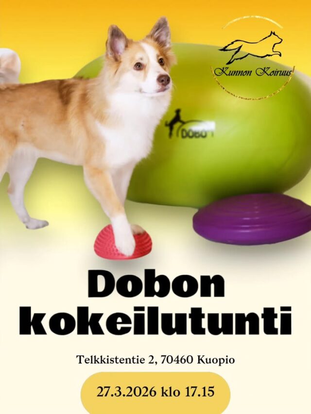 Ihanaa lauantaita treenaajat! Tälläista ihanuutta tulossa nyt meidän hallille! Itsehän jo ilmoittauduin! Tulethan sinäkin mukaan! Doboillaan yhdessä!