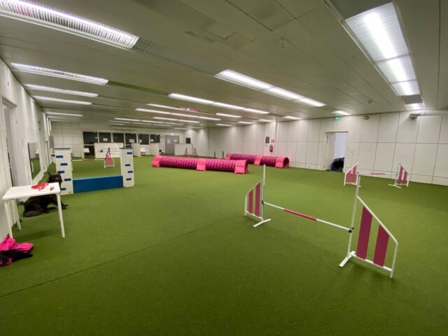 Hei! Kaipailisin agility kavereita porukkatreeniin! Mun vakitreenikaveri muuttaa toiselle puolelle suomea ja yksin ei oo kiva treenata! Joku neljän hengen porukka ois kiva ja 2 tunnin treeniaika voitas varata! Jos kiinnostaa niin soittele! 0445910504/Pia