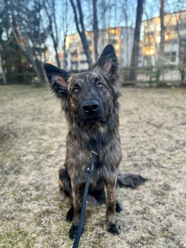 Hei treenaajat! Leikityspäivään 9.5 olisi yksi tai max. 2 paikkaa vapaana et olkaa rohkeasti yhteydessä! Kuvalla huomio: hänkin osallistuu!